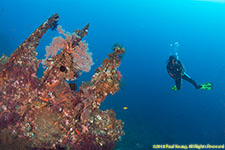 diver on wreck